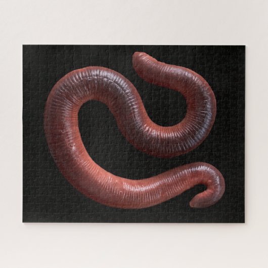 De Worm Collectie Legpuzzel (Horizontaal)