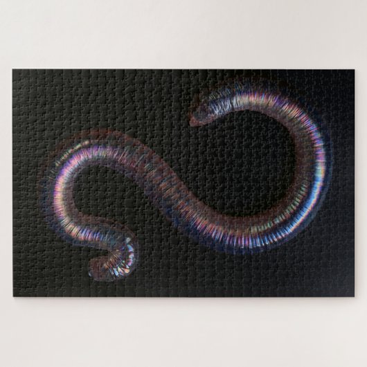 De Worm Collectie Legpuzzel (Horizontaal)