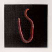 De Worm Collectie Legpuzzel (Horizontaal)