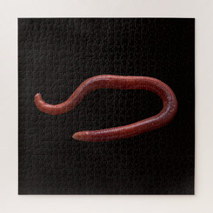 De Worm Collectie Legpuzzel
