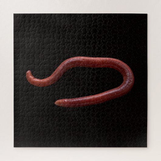 De Worm Collectie Legpuzzel (Verticaal)