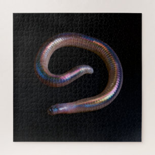 De Worm Collectie Legpuzzel