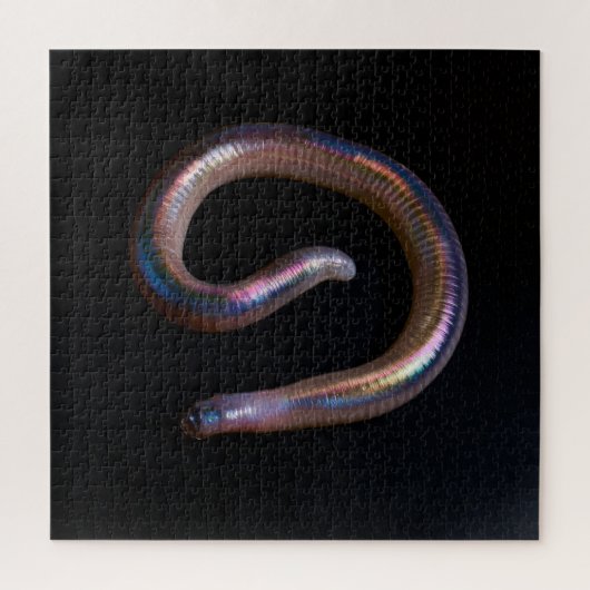 De Worm Collectie Legpuzzel (Verticaal)