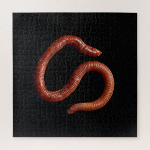 De Worm Collectie Legpuzzel