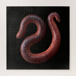 De Worm Collectie Legpuzzel