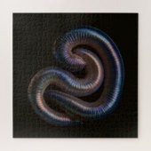     De Worm Collectie  Legpuzzel (Horizontaal)