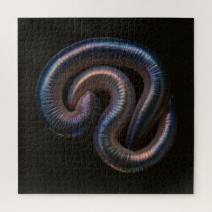 De Worm Collectie Legpuzzel