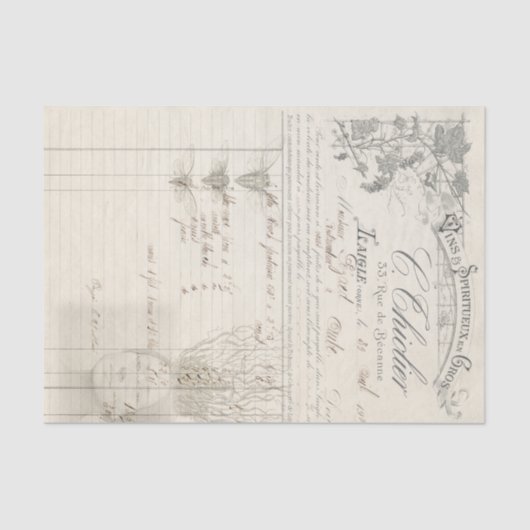 De wortel van het Al Tissuepapier (Voorkant)