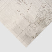 De wortel van het Al Tissuepapier (Detail)