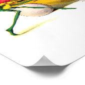 De wraak van de groente-mannen poster (Hoek)