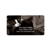 De Yin Yang Katten Etiket (Voorkant)