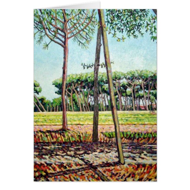 De Young Pine 2009 (Voorkant)