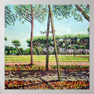 De Young Pine 2009 Poster