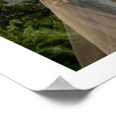 De zachte beweging van de dans (Multi No. 6) Poster (Hoek)