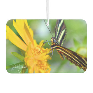 De zebra longwing luchtverfrisser