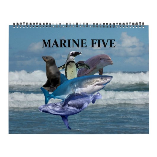 De zee vijf kalender (Hoes)