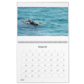 De zee vijf kalender (Mar 2026)