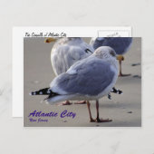 De zeegaand van Atlantic City Briefkaart (Voorkant / Achterkant)