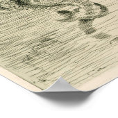 De Zeemeermin van de Amerikaanse kunstenaar Freder Poster (Hoek)