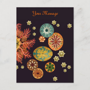 De zeeschede mengt Briefkaart opnieuw