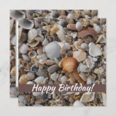 De zeeschelpen op de Zee kust (Voorkant / Achterkant)