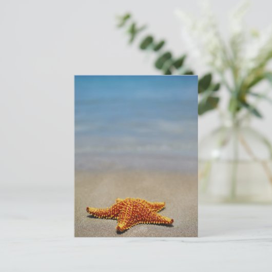 De Zeester van het kussen Briefkaart (Staand voorkant)