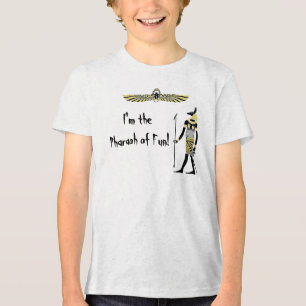 De zegen van de gouden farao: oude Egyptische kuns Tri-Blend Shirt