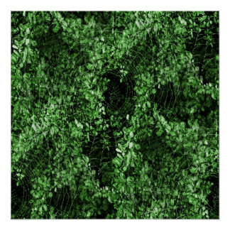 De zegen van de Spiders... Perfect Poster