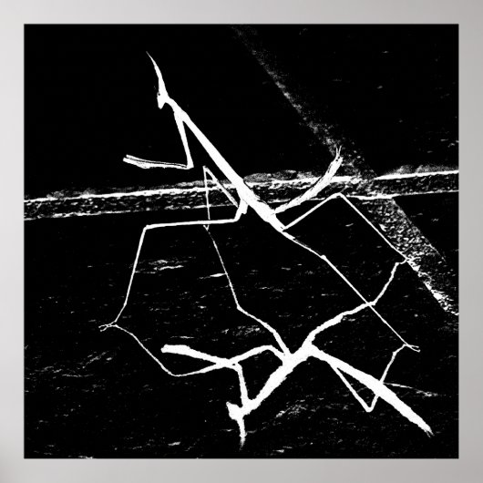 De zen mantis poster (Voorkant)