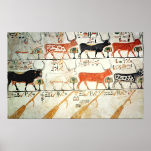 De zeven hemelse koeien en de heilige stier poster