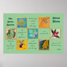 De zeven soorten of de sjiitische minister