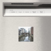 De zichtbare grensmagneet magneet (Insitu (Vaatwasser))