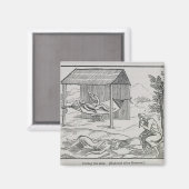 De zieke genezen magneet (Voorkant / Achterkant)