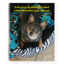 De ziel van een hond