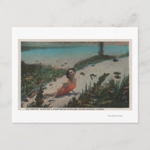 De zilveren Lentes, FL - Onderwater Zwemmen van de Briefkaart