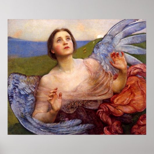 De zin van de Sight Poster (Voorkant)