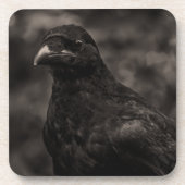 De zoeker drankjes onderzetter (Voorkant)