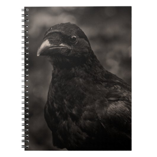 De zoeker notitieboek (Voorkant)