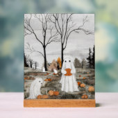 De zoekopdracht acryl bord (Neutraal)