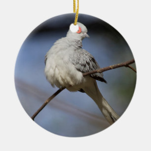 De zoete Mooie Duif van de Diamant Keramisch Ornament