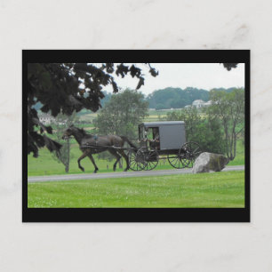 ~ De zomer in de Provincie ~ 71 van Lancaster Briefkaart