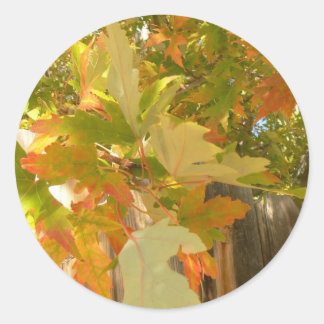 De zomer is weg ronde sticker