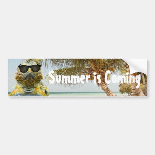 De zomer komt eraan bumpersticker