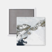 De zomerdooi magneet (Voorkant / Achterkant)