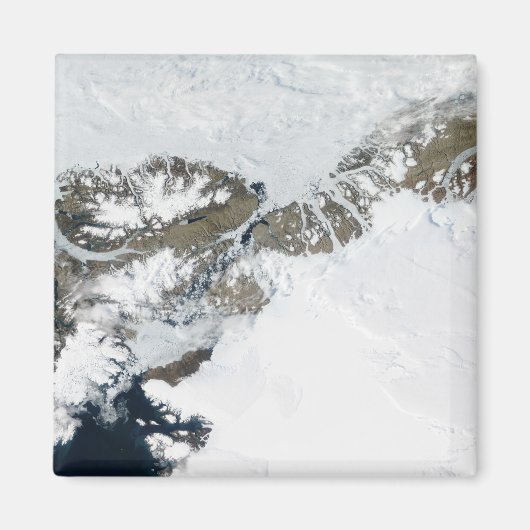 De zomerdooi magneet (Voorkant)