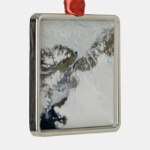 De zomerdooi metalen ornament (Rechts)