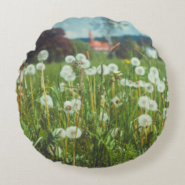 De zomerweide met deandelions gooit de kussen