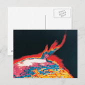 De zon 5 briefkaart (Voorkant / Achterkant)