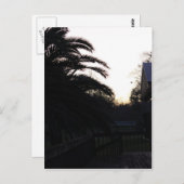 De zon bekijken briefkaart (Voorkant / Achterkant)