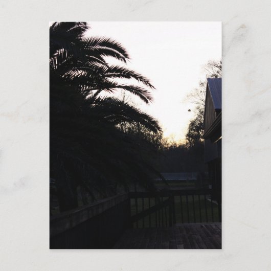 De zon bekijken briefkaart (Voorkant)